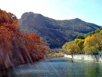 大三巴一肖二码最准，小甜甜 台湾